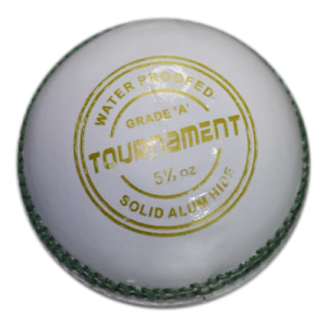White Cricket Ball